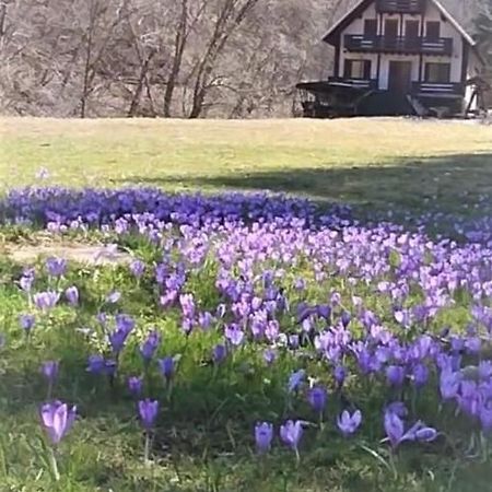 Casa De Vacanta Satic Piatra Craiului La Doi Viermi Exterior foto