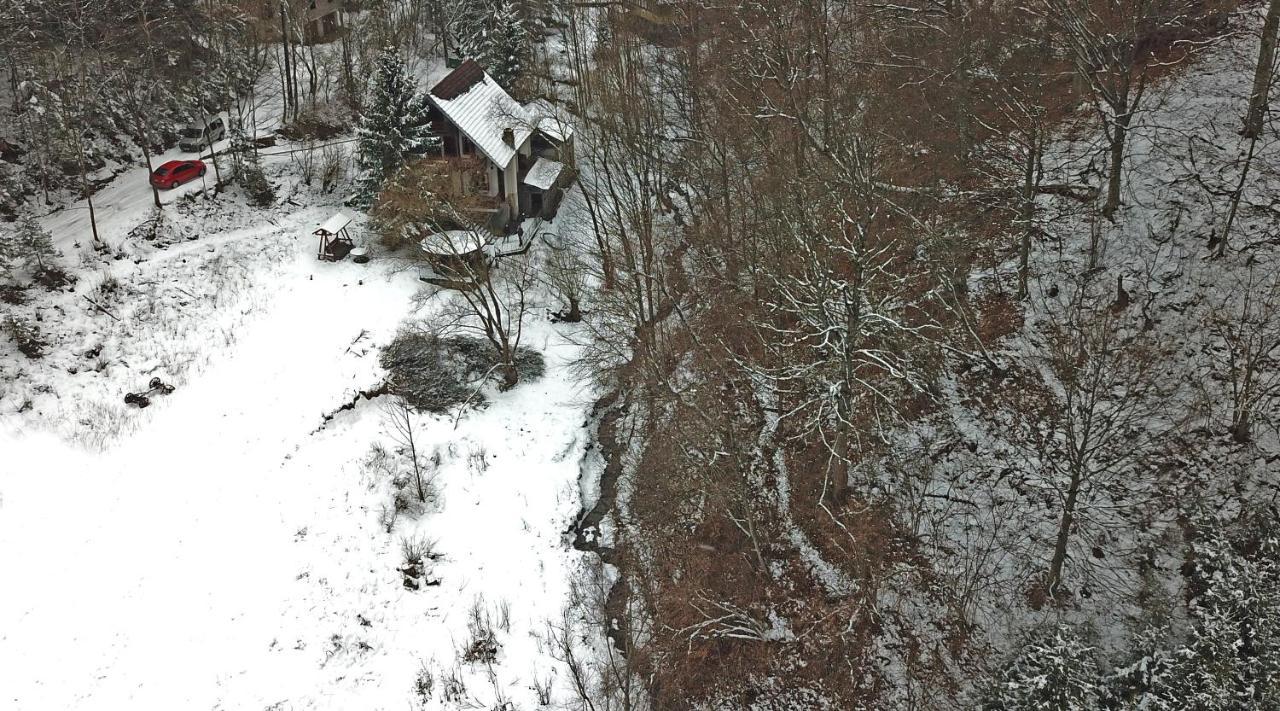 Casa De Vacanta Satic Piatra Craiului La Doi Viermi Exterior foto