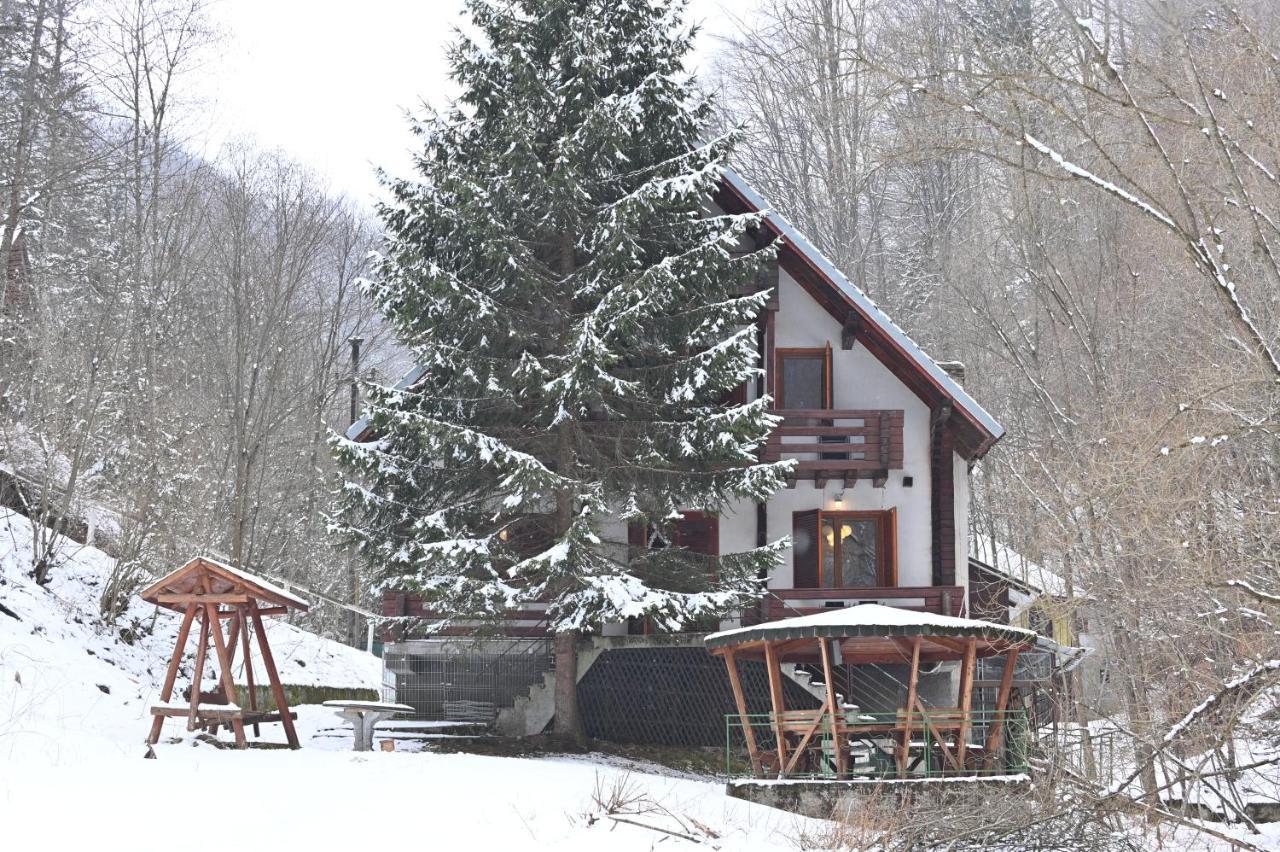 Casa De Vacanta Satic Piatra Craiului La Doi Viermi Exterior foto