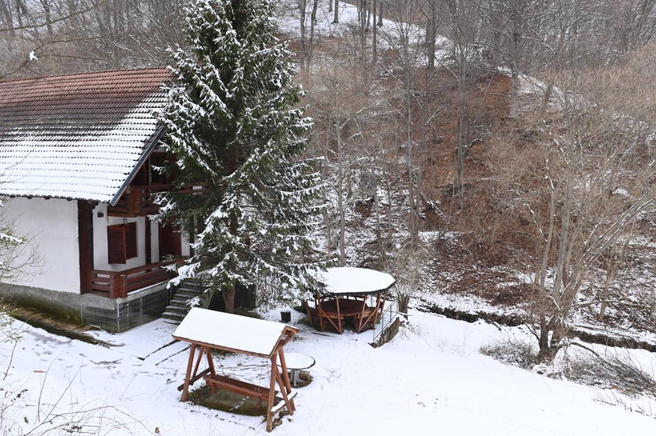 Casa De Vacanta Satic Piatra Craiului La Doi Viermi Exterior foto