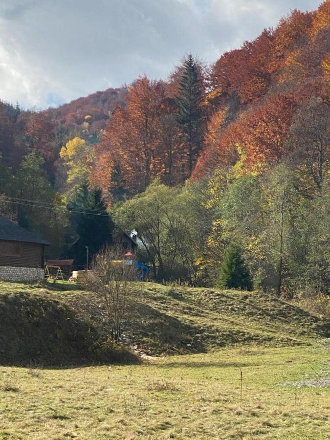 Casa De Vacanta Satic Piatra Craiului La Doi Viermi Exterior foto