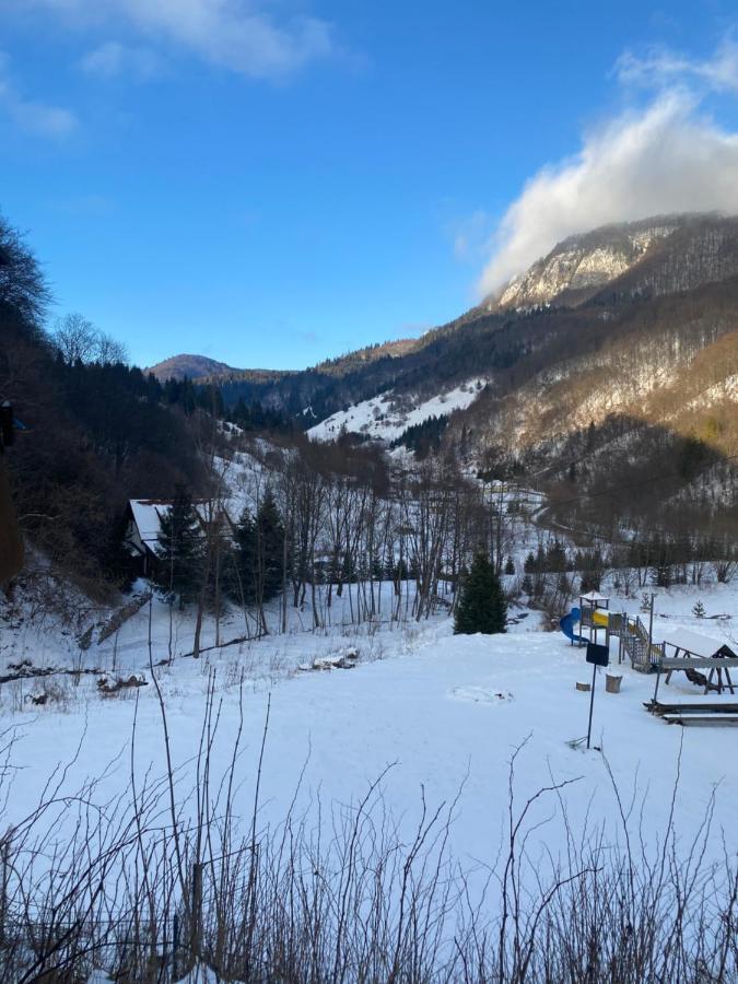 Casa De Vacanta Satic Piatra Craiului La Doi Viermi Exterior foto