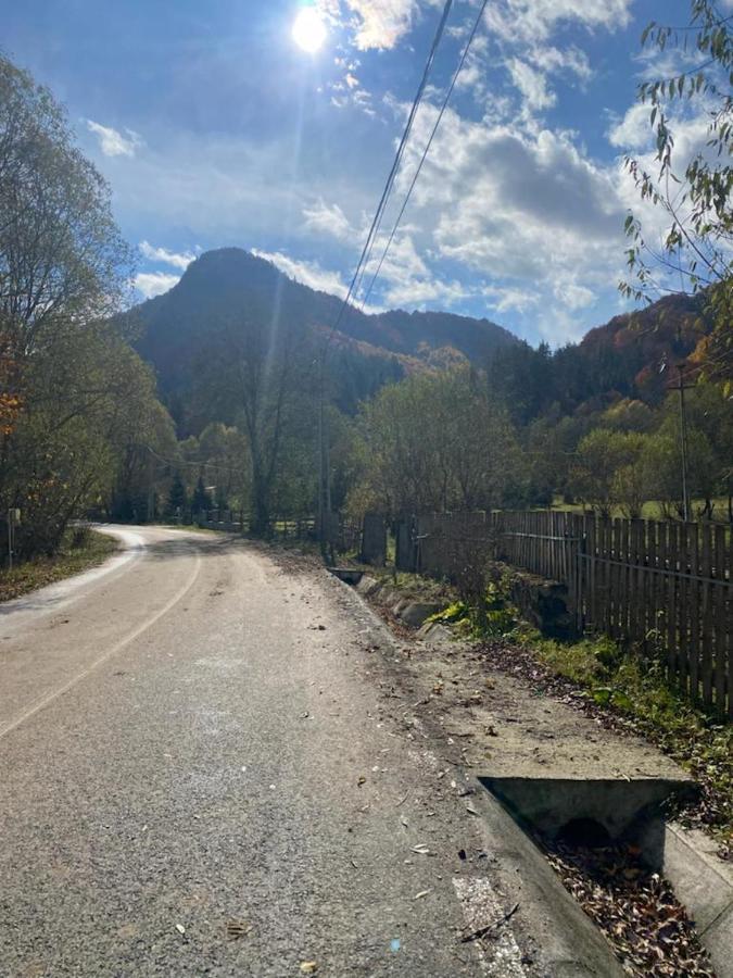 Casa De Vacanta Satic Piatra Craiului La Doi Viermi Exterior foto