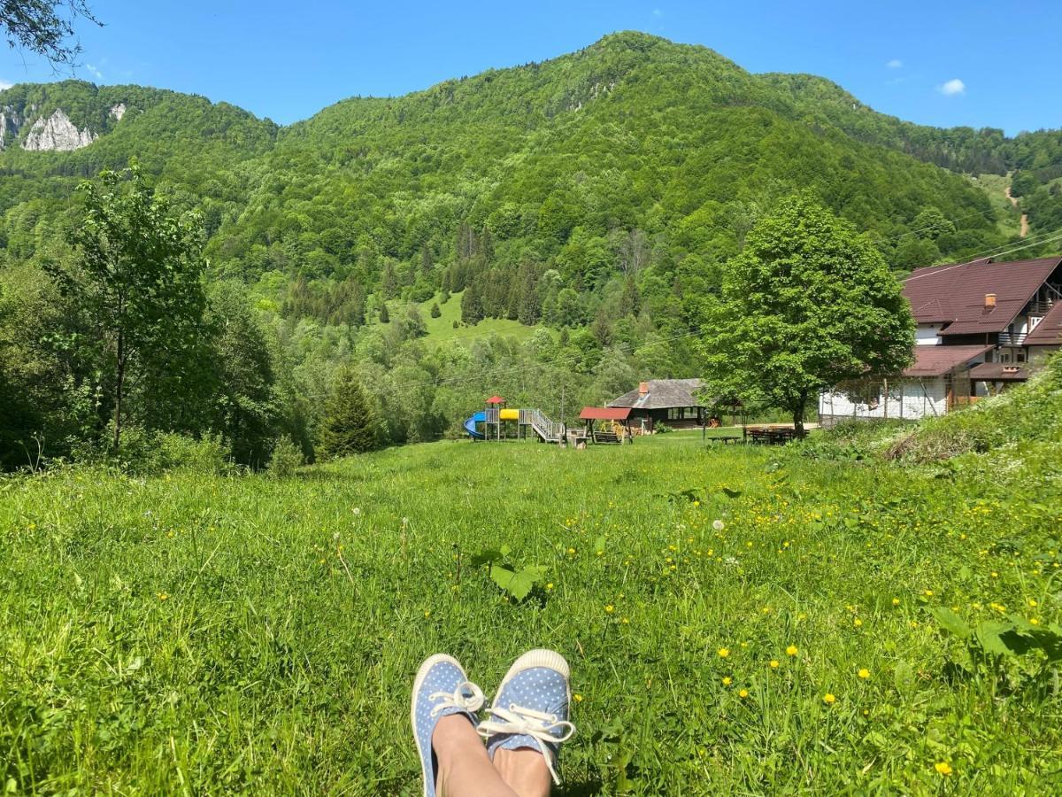 Casa De Vacanta Satic Piatra Craiului La Doi Viermi Exterior foto